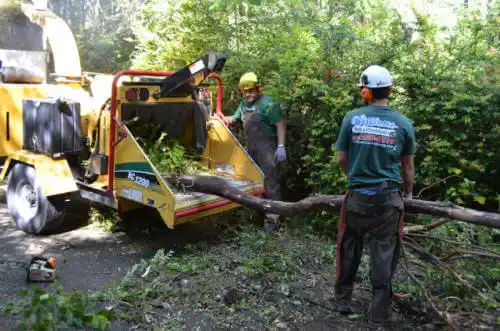 tree services Chena Ridge